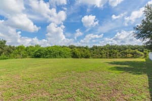 7113 FOREST MERE DRIVE, RIVERVIEW, FL 33578 Sold 05/23/25