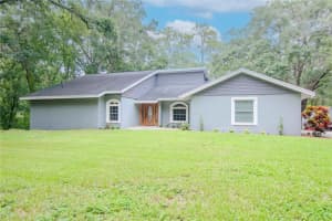 2202 ANDRE DRIVE, LUTZ, FL 33549 Sold 01/31/25