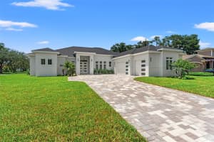 21312 SKY VISTA DRIVE, LAND O LAKES, FL 34637 Sold 09/04/24