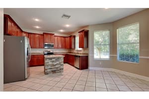 8141 LAGERFELD DRIVE, LAND O LAKES, FL 34637 Sold 12/18/24