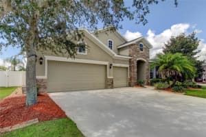 31524 BEARDED OAK DRIVE, WESLEY CHAPEL, FL 33543 Sold 01/29/25