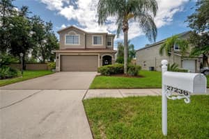 27236 LA JOLLA WAY, WESLEY CHAPEL, FL 33544 Sold 09/05/24