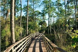 683 ALLORA AVENUE, NOKOMIS, FL 34275 Sold 03/28/25