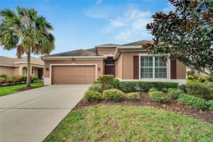 17425 CHELSEA DOWNS CIRCLE, LITHIA, FL 33547 Sold 01/03/25