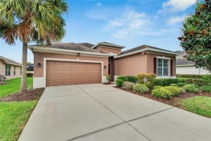 17425 CHELSEA DOWNS CIRCLE, LITHIA, FL 33547 Sold 01/03/25