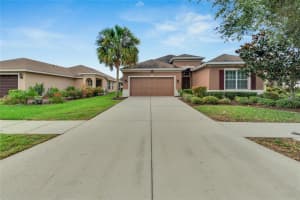 17425 CHELSEA DOWNS CIRCLE, LITHIA, FL 33547 Sold 01/03/25