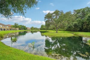 18825 DUQUESNE DRIVE, TAMPA, FL 33647 Sold 10/29/24