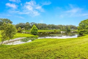 8621 HUNTFIELD STREET, TAMPA, FL 33635 Sold 08/20/24