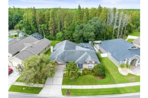 3908 YELLOW FINCH LANE, LUTZ, FL 33558 Sold 10/07/24