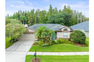 3908 YELLOW FINCH LANE, LUTZ, FL 33558 Sold 10/07/24