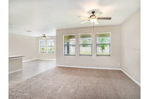 21028 WISTFUL YEARN DRIVE, LAND O LAKES, FL 34637 Sold 10/07/24