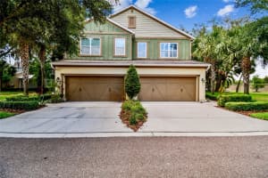 17012 VILESTA DRIVE, LUTZ, FL 33548 Sold 05/23/25