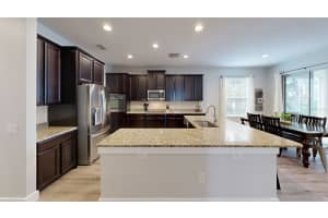 27954 WILD SIENNA LOOP, WESLEY CHAPEL, FL 33544 Sold 12/23/24