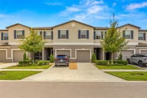 9765 MULBERRY MARSH LANE, SUN CITY CENTER, FL 33573 Sold 12/12/24