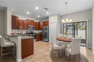 9765 MULBERRY MARSH LANE, SUN CITY CENTER, FL 33573 Sold 12/12/24