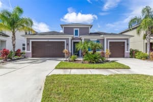 33310 AZALEA RIDGE DRIVE, WESLEY CHAPEL, FL 33545 Sold 01/14/25