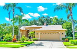 8124 MEADOWVIEW PLACE, TRINITY, FL 34655 Sold 08/23/24