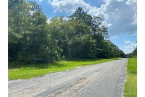 8739 UPLAND DRIVE, CITRUS SPRINGS, FL 34434 - MLS#MFRT3542843