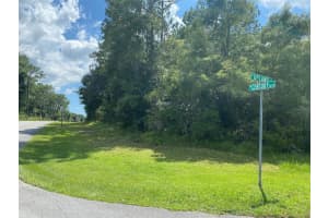 8739 UPLAND DRIVE, CITRUS SPRINGS, FL 34434 - MLS#MFRT3542843