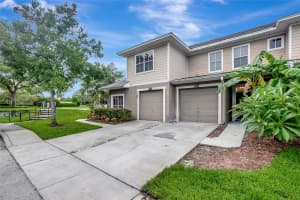 7904 TIPPERARY LANE, TAMPA, FL 33610 Sold 11/01/24