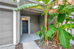 7904 TIPPERARY LANE, TAMPA, FL 33610 Sold 11/01/24