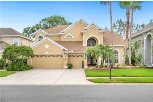 3542 VALENCIA COVE COURT, LAND O LAKES, FL 34639 Sold 09/04/24