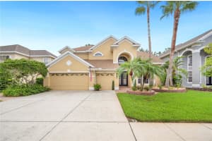 3542 VALENCIA COVE COURT, LAND O LAKES, FL 34639 Sold 09/04/24