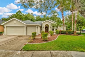 16141 COLCHESTER PALMS DRIVE, TAMPA, FL 33647 Sold 10/03/24