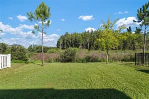 7349 ASHCROFT DRIVE, WESLEY CHAPEL, FL 33545 Sold 09/12/24