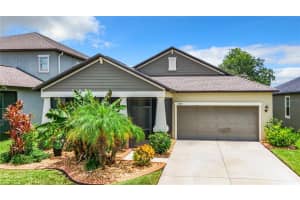 11875 SUNBURST MARBLE ROAD, RIVERVIEW, FL 33579 Sold 03/26/25