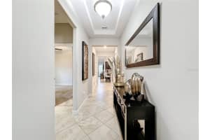 11875 SUNBURST MARBLE ROAD, RIVERVIEW, FL 33579 Sold 03/26/25