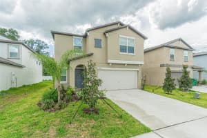 6355 BACK FORTY LOOP, ZEPHYRHILLS, FL 33541 Sold 12/09/24