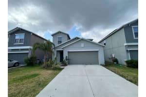 10210 BOGGY MOSS DRIVE, RIVERVIEW, FL 33578 Sold 11/22/24