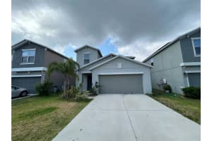 10210 BOGGY MOSS DRIVE, RIVERVIEW, FL 33578 Sold 11/22/24