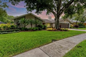 4302 Deepwater Ln, TAMPA