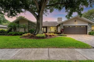 4302 DEEPWATER LANE, TAMPA, FL 33615 - MLS#MFRT3543213