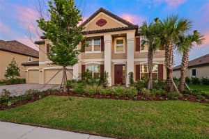 33346 KATELAND DRIVE, WESLEY CHAPEL, FL 33545 Sold 08/06/25