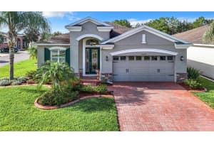 10062 GAP WEDGE DRIVE, SAN ANTONIO, FL 33576 Sold 10/25/24