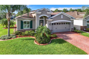 10062 GAP WEDGE DRIVE, SAN ANTONIO, FL 33576 Sold 10/25/24