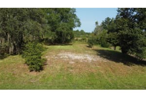 12411 QUAIL RIDGE DRIVE, SPRING HILL, FL 34610 Sold 06/24/25