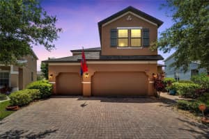 10137 CELTIC ASH DRIVE, RUSKIN, FL 33573 Sold 10/04/24