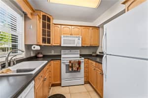 13721 JUNIPER BLOSSOM DRIVE, TAMPA, FL 33618 Sold 09/30/24