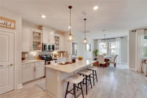 10816 WHITLAND GROVE DRIVE, RIVERVIEW, FL 33578 Sold 11/01/24