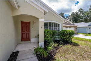 6736 SUMMER HAVEN DRIVE, RIVERVIEW, FL 33578 Sold 08/29/24