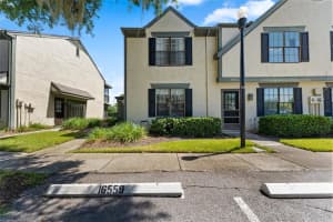 16559 BRIGADOON DRIVE, TAMPA, FL 33618 Sold 01/12/25