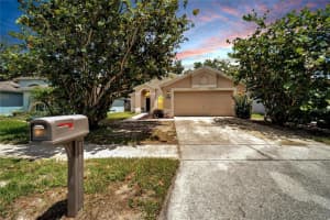 11306 BROWNSTONE COURT, RIVERVIEW, FL 33569 Sold 10/25/24