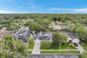 6514 STEEPLECHASE DRIVE, TAMPA, FL 33625 Sold 10/25/24
