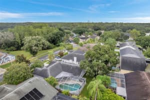 6514 STEEPLECHASE DRIVE, TAMPA, FL 33625 Sold 10/25/24