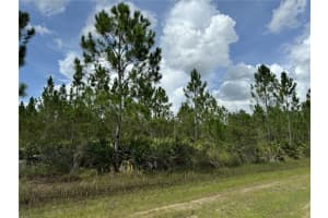 3621 CALENDULA DRIVE, INDIAN LAKE ESTATES, FL 33855 - MLS#MFRT3543731