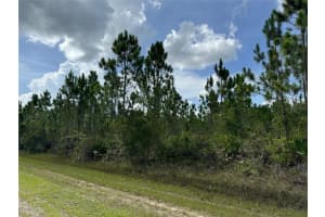 3621 CALENDULA DRIVE, INDIAN LAKE ESTATES, FL 33855 - MLS#MFRT3543731